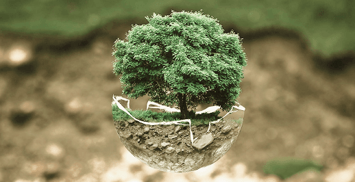 Environment & Climate Action